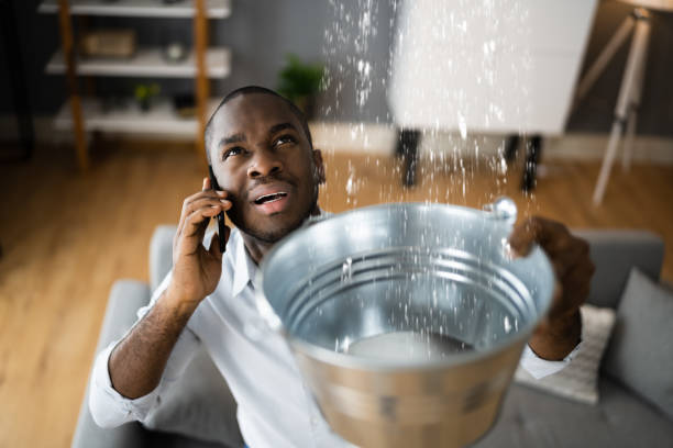 Best Water damage cleanup near me  in Bishop, CA