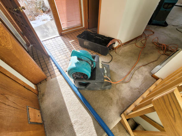 Best Water damage restoration near me  in Bishop, CA