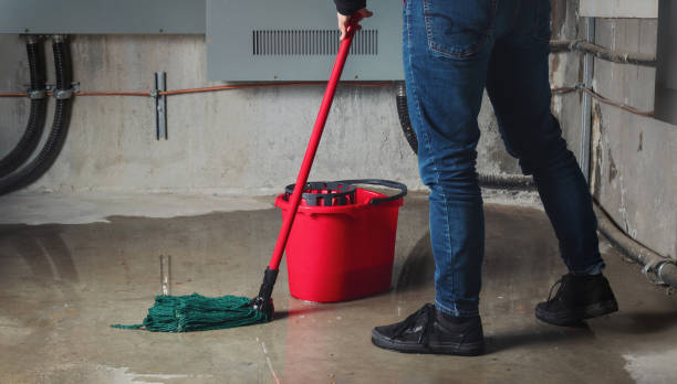 Best Mold removal after water damage  in Bishop, CA