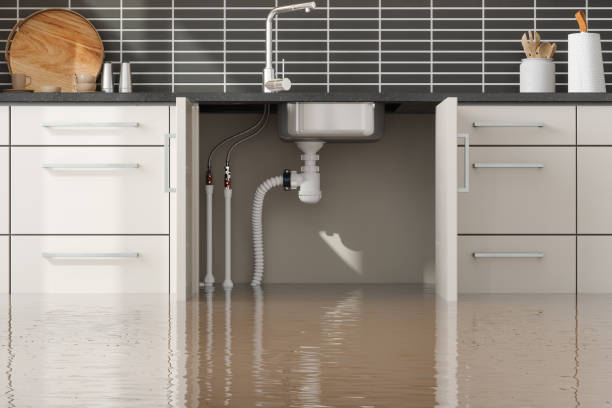 Best Flooded house restoration  in Bishop, CA