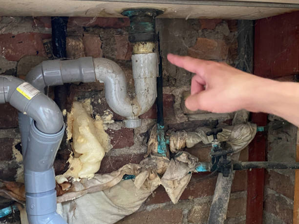 Best 24/7 water damage repair  in Bishop, CA