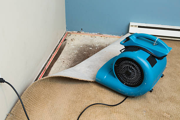 Best Flood restoration services  in Bishop, CA